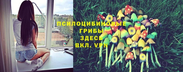 крисы Алексин