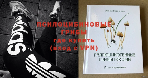 PSILOCYBIN Алексеевка