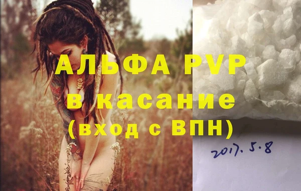 крисы Алексин