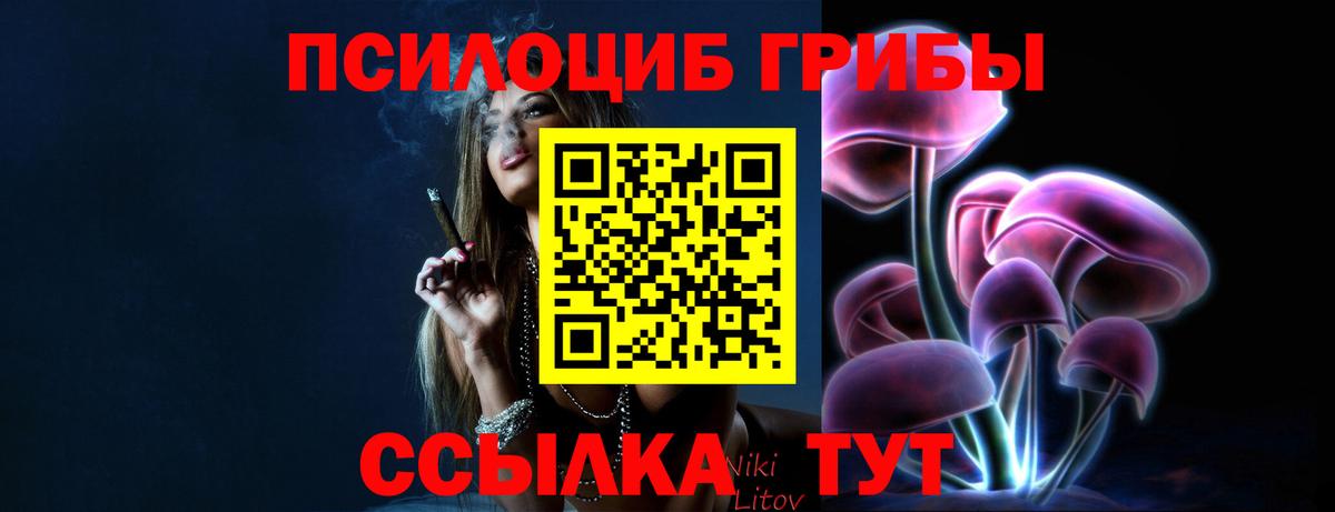 Асбест  Галлюциногенные грибы ЛСД  купить закладку  Вход с VPN 
